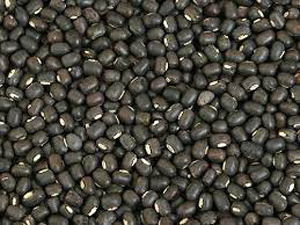 himalayan urad dal